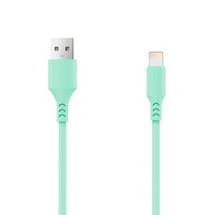 Setty cabel USB - Lightning 1,0 m 2A mint цена и информация | Кабели для телефонов | kaup24.ee