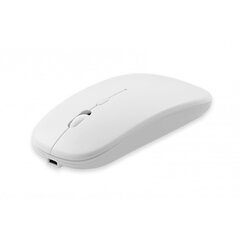 Setty wirless mouse white цена и информация | Мыши | kaup24.ee