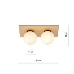 Emibig светильник Kenzo 2A цена и информация | Потолочные светильники | kaup24.ee