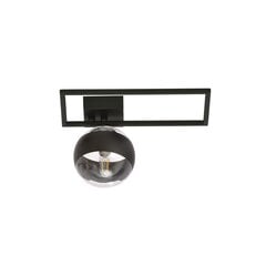 Emibig светильник Imago 1D Black/Stripe цена и информация | Потолочные светильники | kaup24.ee