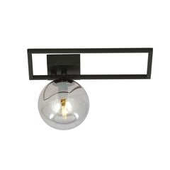 Emibig светильник Imago 1D Black/Grafit цена и информация | Потолочные светильники | kaup24.ee