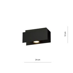 Emibig светильник Kenno 1 Black цена и информация | Потолочные светильники | kaup24.ee