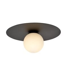 Emibig светильник Solar 1 Black/Opal цена и информация | Emibig Мебель и домашний интерьер | kaup24.ee