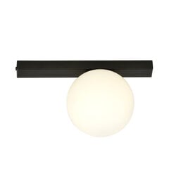 Emibig valgusti Fit 1 Black/Opal цена и информация | Потолочные светильники | kaup24.ee