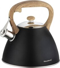 Veekeetja Klausberg KB-7262, 3 L цена и информация | Чайники, кофейники | kaup24.ee