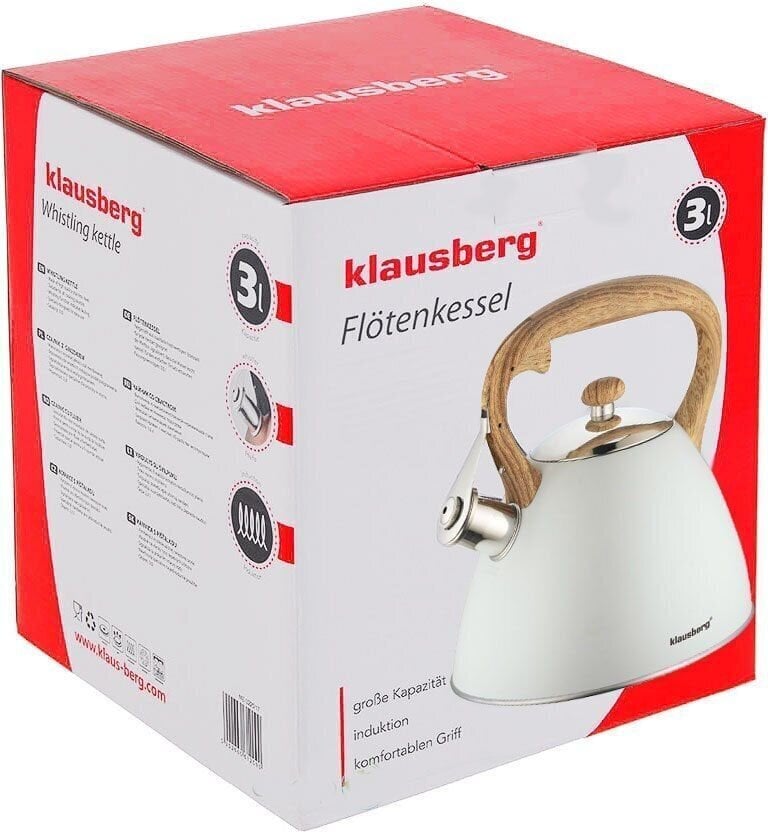 Veekeetja Klausberg KB-7264, 3 L цена и информация | Kohvikannud, teekannud | kaup24.ee