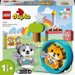 10977 LEGO® DUPLO Minu esimene kutsikas ja kassipoeg koos helidega цена и информация | Конструкторы и кубики | kaup24.ee