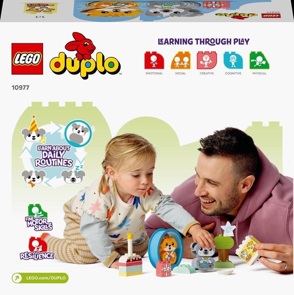 10977 LEGO® DUPLO Minu esimene kutsikas ja kassipoeg koos helidega hind ja info | Klotsid ja konstruktorid | kaup24.ee