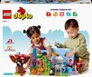 10975 LEGO® DUPLO Maailma metsloomad hind ja info | Klotsid ja konstruktorid | kaup24.ee