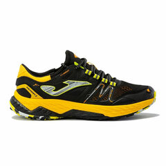 Беговые кроссовки для взрослых Joma Sport Sierra 2231 цена и информация | Кроссовки для мужчин | kaup24.ee