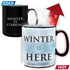 ABYstyle Game of Thrones Winter is Here hind ja info | Fännitooted mänguritele | kaup24.ee