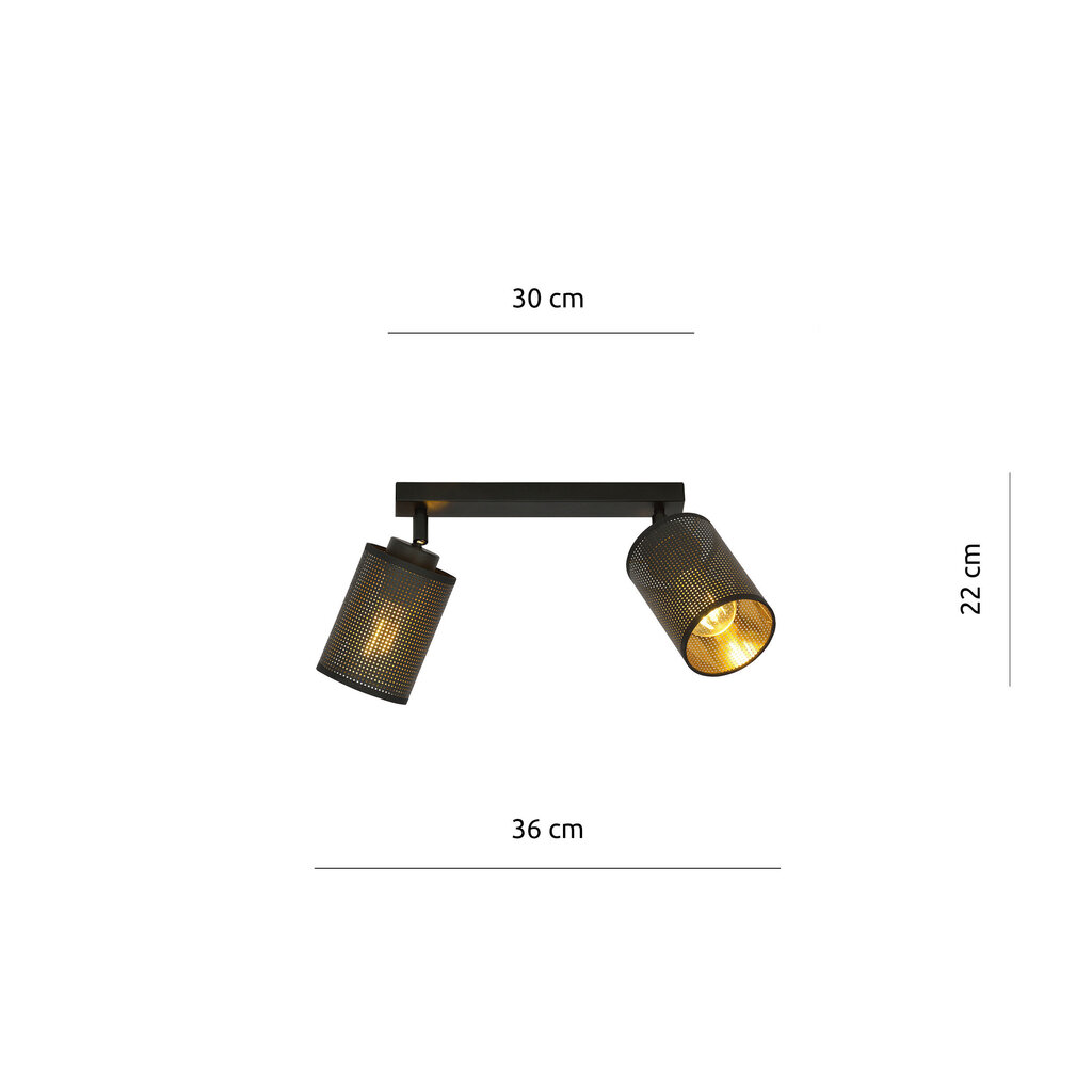 Lamp Emibig Bronx 2 Black цена и информация | Laelambid | kaup24.ee