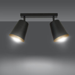 Потолочная лампа Emibig PRISM 2 BLACK цена и информация | Потолочные светильники | kaup24.ee