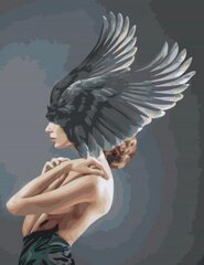 Maalid numbrite järgi "A woman with black wings " 40x50 G RO257 hind ja info | Maalid numbri järgi | kaup24.ee