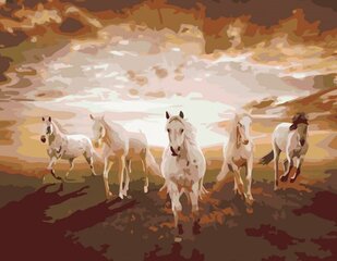 Maalid numbrite järgi "White horses " 40x50 G KTMK-85105 hind ja info | Maalid numbri järgi | kaup24.ee