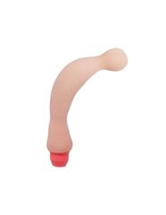 Baile Vibrators Flex Vibe Sensual Spine Vibrating dildo, 22 cm hind ja info | BDSM ja fetish | kaup24.ee