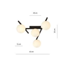 Emibig valgusti Smart 4 Black/Opal цена и информация | Потолочные светильники | kaup24.ee