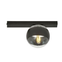 Emibig светильник Fit 1 Black/Stripe цена и информация | Потолочные светильники | kaup24.ee