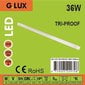 LED valgusti IP65 G.LUX GR-LED-TRI-PROOF-36W-1200mm hind ja info | Laelambid | kaup24.ee