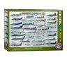 Pusle Eurographics, 6000-0076, Modern Warplanes, 1000 tk hind ja info | Pusled | kaup24.ee