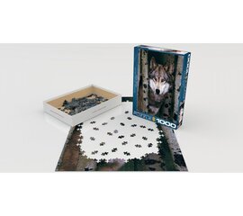 Пазл Eurographics, 6000-1244, Gray Wolf, 1000 шт. цена и информация | Пазлы | kaup24.ee