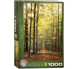 Пазл Eurographics, 6000-3846, Forest Path, 1000 шт. цена и информация | Пазлы | kaup24.ee