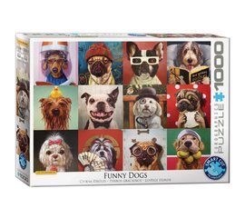 Пазл Eurographics, 6000-5523, Funny Dogs, 1000 шт. цена и информация | Пазлы | kaup24.ee