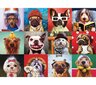 Pusle Eurographics, 6000-5523, Funny Dogs, 1000 tk hind ja info | Pusled | kaup24.ee