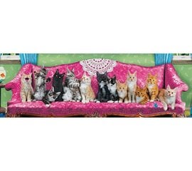 Пазл Eurographics, 6010-5629, Kitty Cat Couch, 1000 шт. цена и информация | Пазлы | kaup24.ee