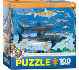 Pusle Eurographics, 6100-0079, Sharks, 100 tk hind ja info | Pusled | kaup24.ee
