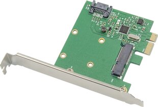 Kontroler ProXtend PCIe x4 - mSATA (PX-SR-10256) hind ja info | Regulaatorid | kaup24.ee