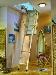 Чердачная лестница DOLLE F30 120 x 70 см цена и информация | Лестницы | kaup24.ee