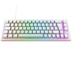 Klaviatuur Xtrfy K5 Compact, RGB, läbipaistev valge, UK hind ja info | Klaviatuurid | kaup24.ee