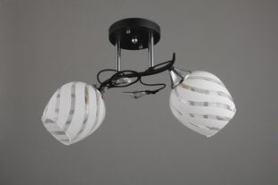 Лампа Lampex Nelson 2 цена и информация | Потолочные светильники | kaup24.ee