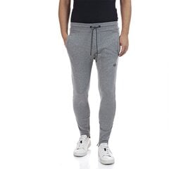 Мужские спортивные штаны Replay, серые цена и информация | Мужские брюки | kaup24.ee