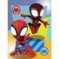 TREFL SPIDER-MAN Mini Maxi pusle Spidey, 20 osa hind ja info | Pusled | kaup24.ee