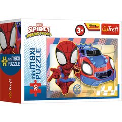 Пазл Trefl Spider Man, 20 дет. цена и информация | Пазлы | kaup24.ee