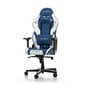 Tool DXRacer Gladiator, Sinine hind ja info | Kontoritoolid | kaup24.ee