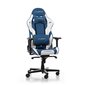 Tool DXRacer Gladiator, Sinine hind ja info | Kontoritoolid | kaup24.ee