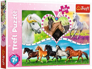 Пазл Puzzle 278 красивые лошади, 200шт цена и информация | Пазлы | kaup24.ee
