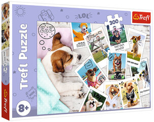 Пазл Puzzle 286 собаки, 300шт цена и информация | Пазлы | kaup24.ee