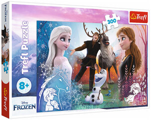 Пазл Puzzle 289 Frozen 2, 300шт цена и информация | Пазлы | kaup24.ee