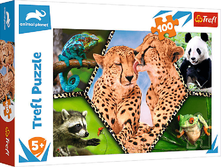 Pusle Animal Planet, 100 tk hind ja info | Pusled | kaup24.ee