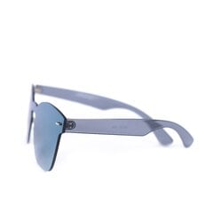 Art of Polo Sunglasses | must ok19189-2 цена и информация | Женские солнцезащитные очки | kaup24.ee