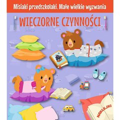 медведи-дошкольники - вечернее занятие цена и информация | Книжки - раскраски | kaup24.ee