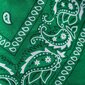 Art of Polo Bandanna | roheline sz13014-6 цена и информация | Naiste sallid | kaup24.ee