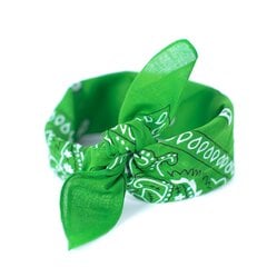 Art of Polo Bandanna | lubi sz13014-5 цена и информация | Женские шарфы, платки | kaup24.ee