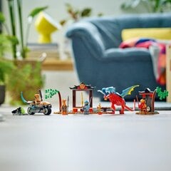 71759 LEGO® NINJAGO Храм ниндзя-дракона цена и информация | Конструкторы и кубики | kaup24.ee