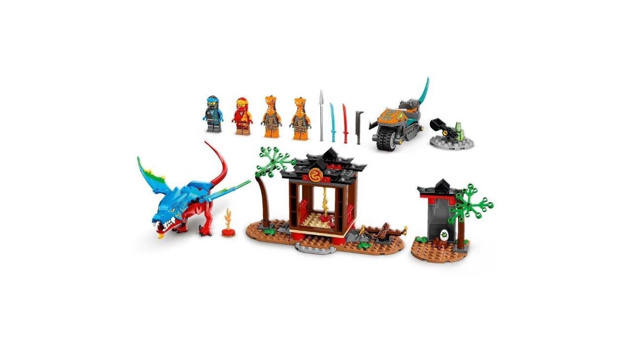 71759 LEGO® NINJAGO Ninja Draakoni tempel цена и информация | Klotsid ja konstruktorid | kaup24.ee