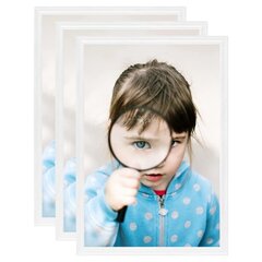 vidaXL fotoraami kollaaž 3 tk, seinale või lauale, valge, 15 x 21 cm цена и информация | Рамки, фотоальбомы | kaup24.ee